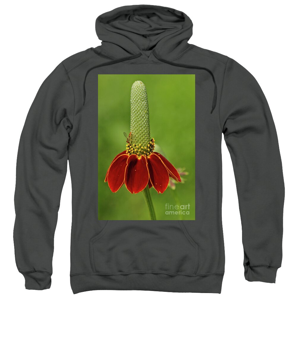 Mexican Hat Prairie Coneflower Sweatshirt featuring the photograph Mexican Hat Prairie Coneflower by Natural Focal Point Photography
