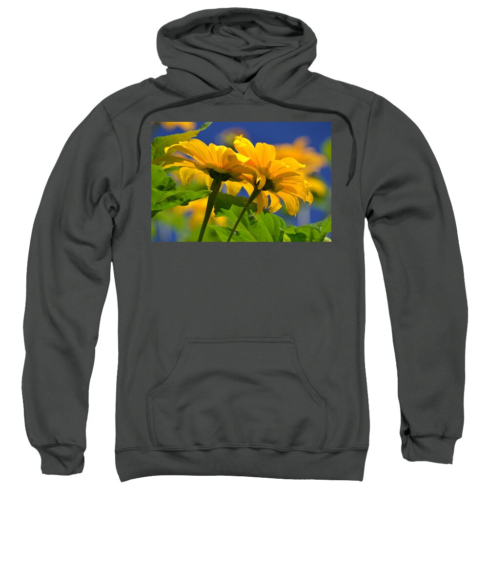 Sunflower Sweatshirt featuring the photograph Mexican Sunflower Tree by Melanie Moraga