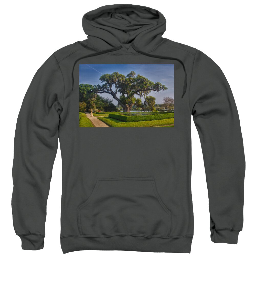 Middleton Place Sweatshirt featuring the photograph Middleton Oak by Patricia Schaefer