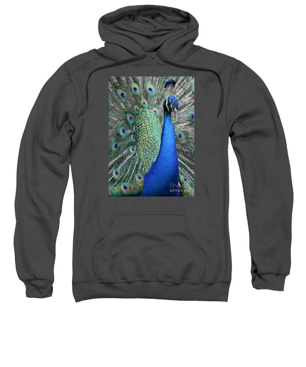 Peacock Sweatshirt featuring the photograph Mister Peacock Too by Sabrina L Ryan