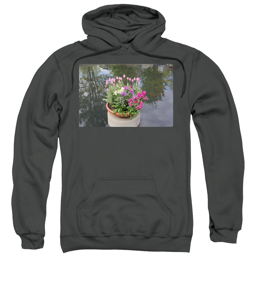Flowers Sweatshirt featuring the photograph Mixed Flower Planter by Allen Nice-Webb