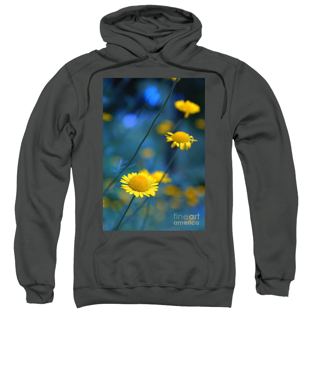 Daisies Sweatshirt featuring the photograph Momentum 04a by Variance Collections