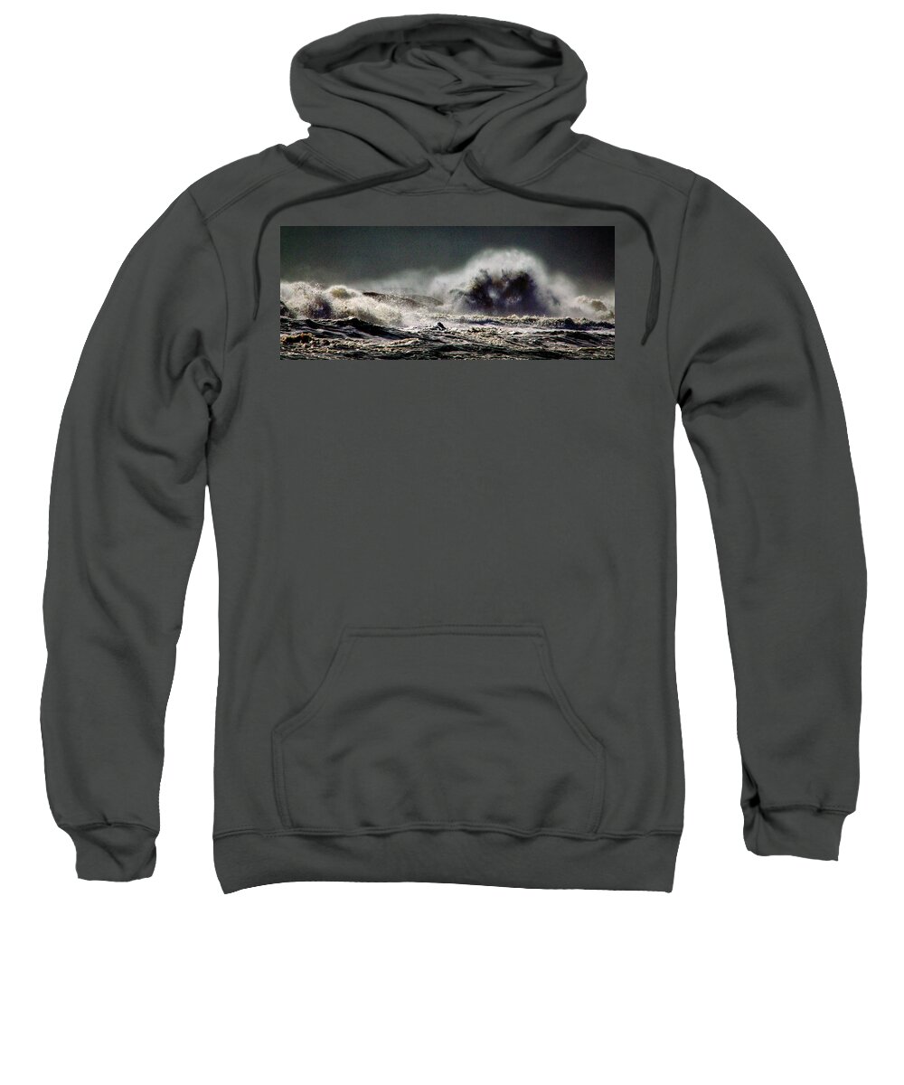 Sea Monster Sweatshirt featuring the photograph Monster of the Seas by Bill Swartwout
