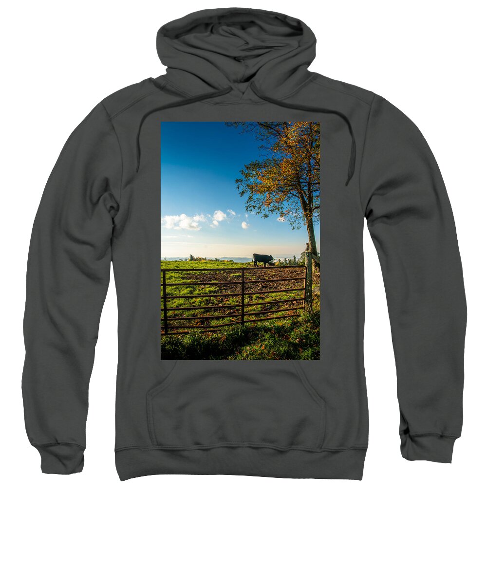 Mountains Sweatshirt featuring the photograph Morning Munch by Larry Jones