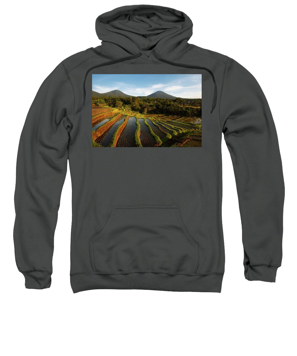 Jatiluwih Sweatshirt featuring the photograph Morning on the Terrace by Andrew Kumler