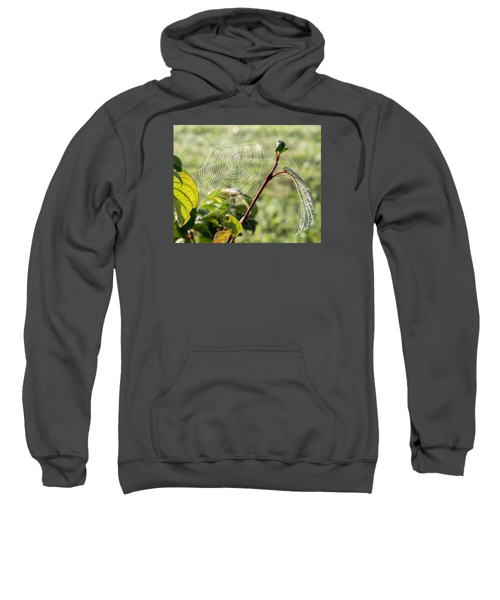 Web Sweatshirt featuring the photograph Morning Web #1 by Marc Champagne