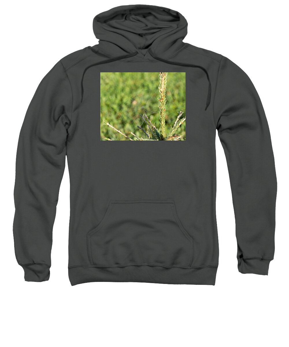 Web Sweatshirt featuring the photograph Morning Web #2 by Marc Champagne
