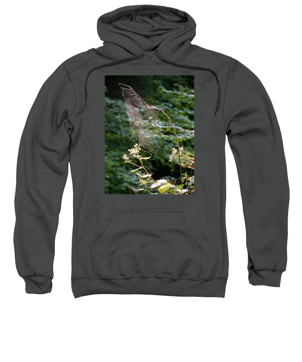 Spiders Sweatshirt featuring the photograph Morning Web by Azthet Photography