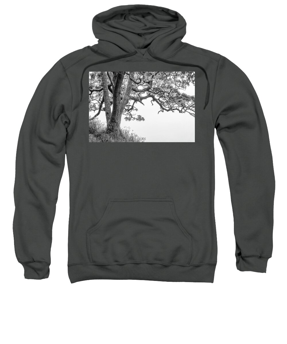 Mossy Tree Sweatshirt featuring the photograph Mossy Tree by Christopher Johnson