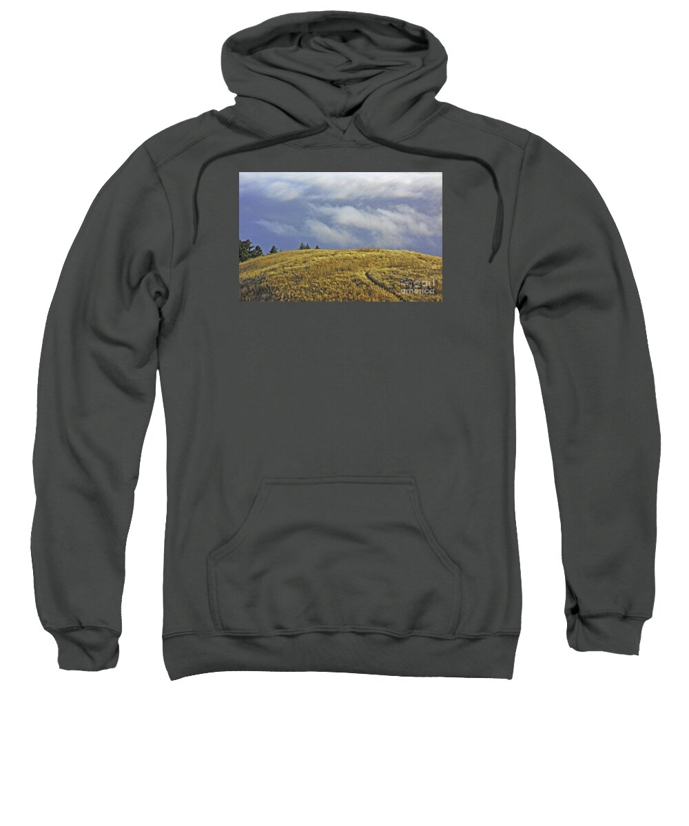 Mt. Tamalpais Sweatshirt featuring the photograph Mountain High by Joyce Creswell