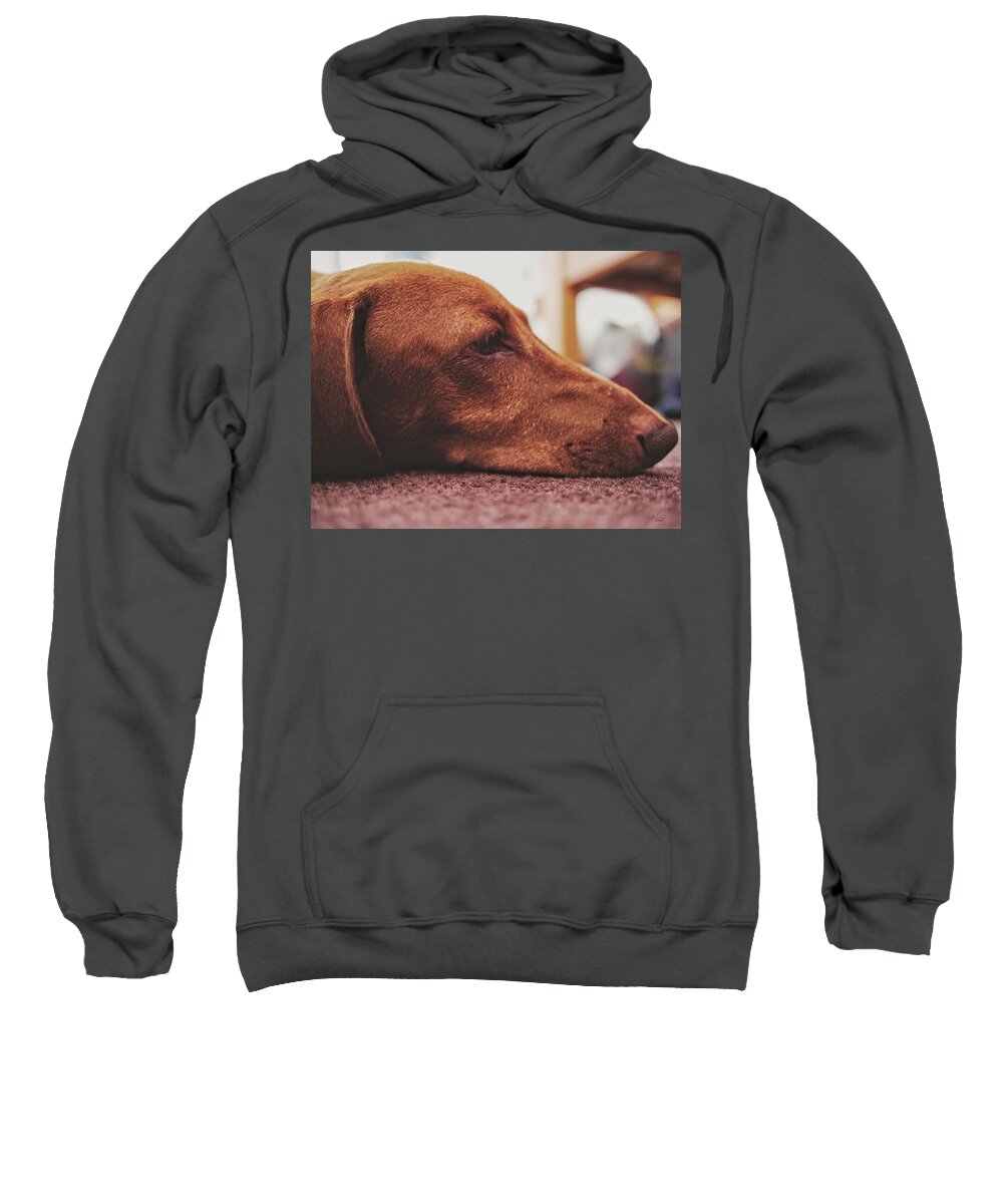 Portrait Sweatshirt featuring the photograph Mr Fritz pose laying down by Michael Blaine