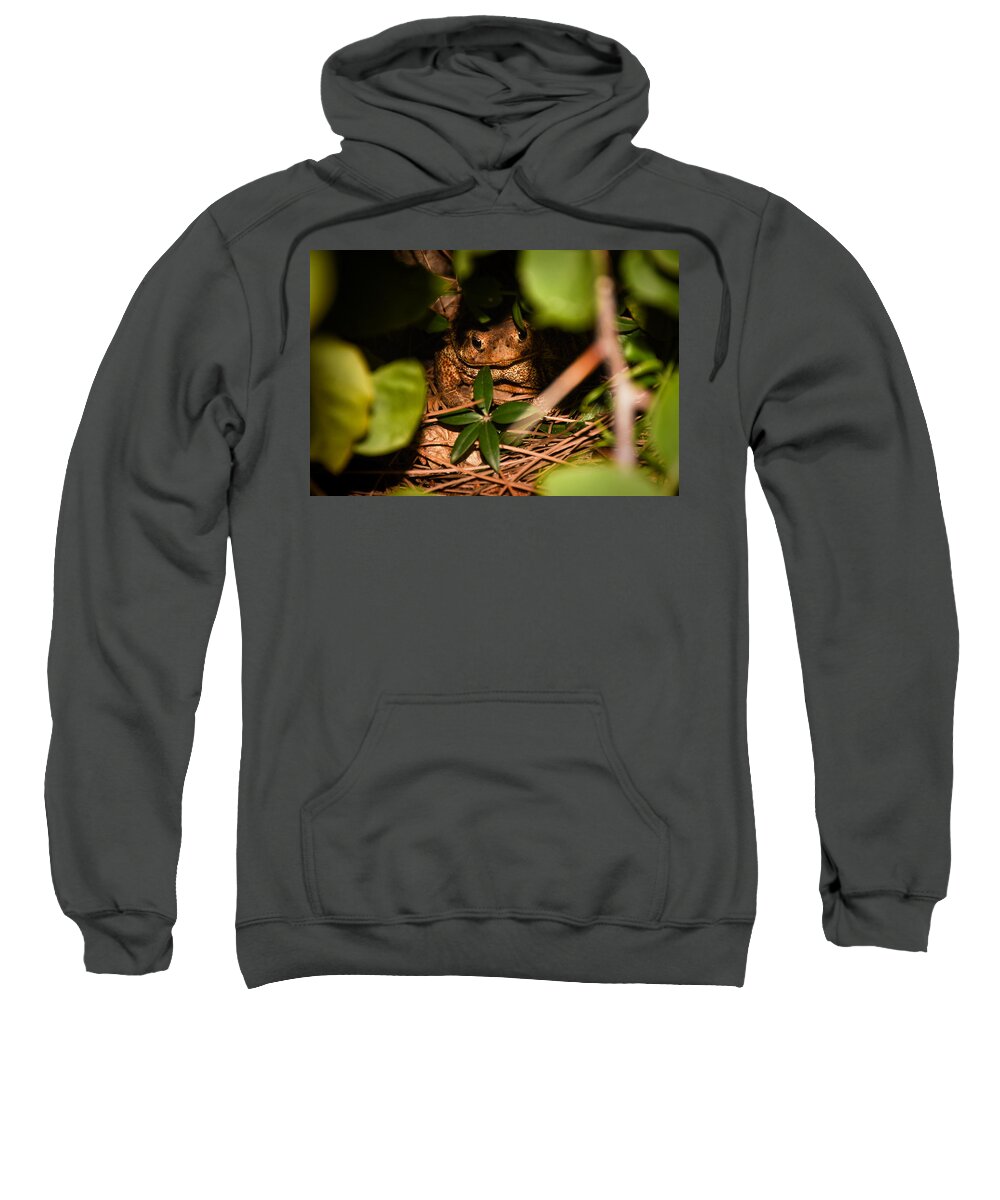 Frog Sweatshirt featuring the photograph Mr Frog by Alessandro Della Pietra