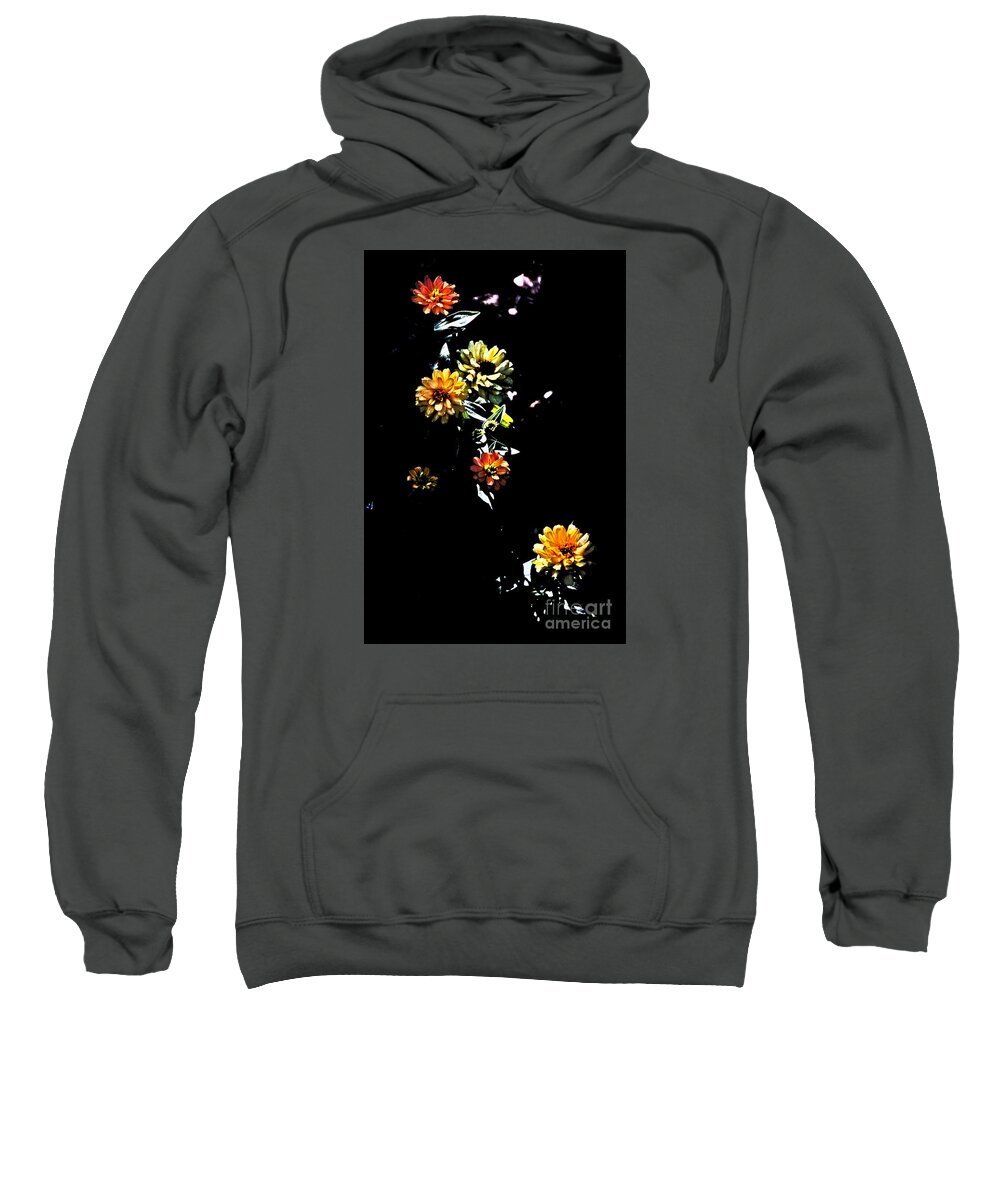  Sweatshirt featuring the photograph Multi-Color Zinnias on Black Background by David Frederick