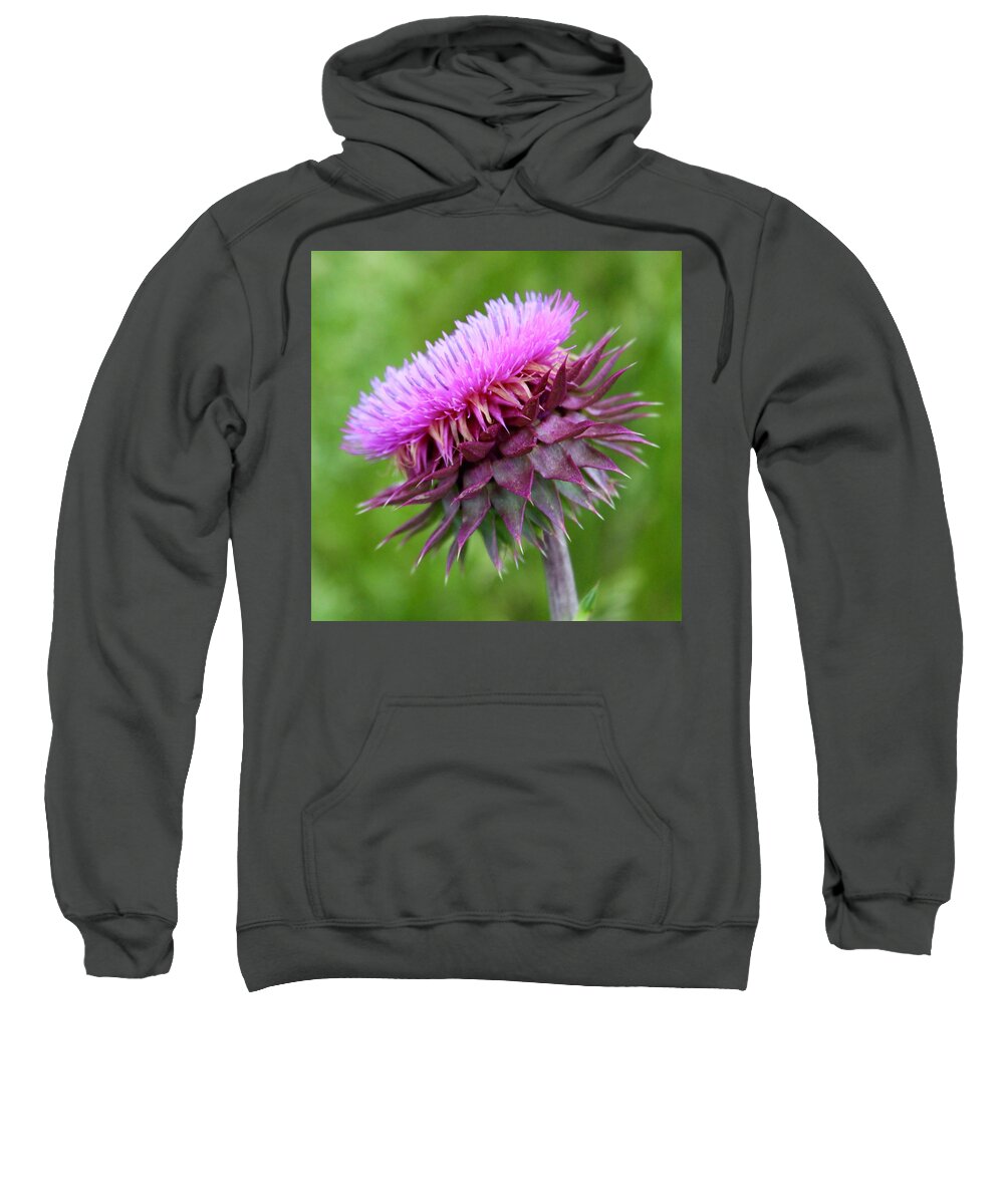 Photograph Sweatshirt featuring the photograph Musk Thistle Blooming by M E