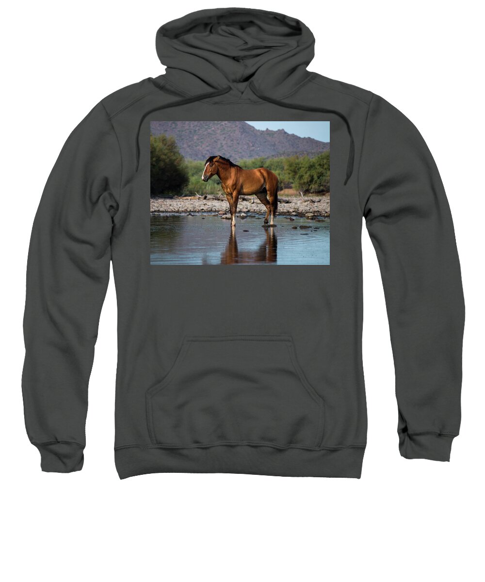 Wild Horses Sweatshirt featuring the photograph My Home by American Landscapes