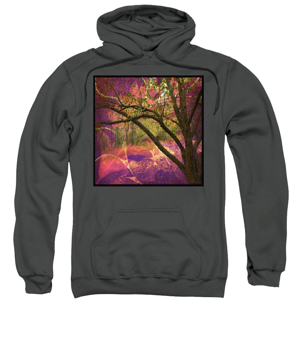 Trees Sweatshirt featuring the photograph Mystic Forest by Peggy Dietz