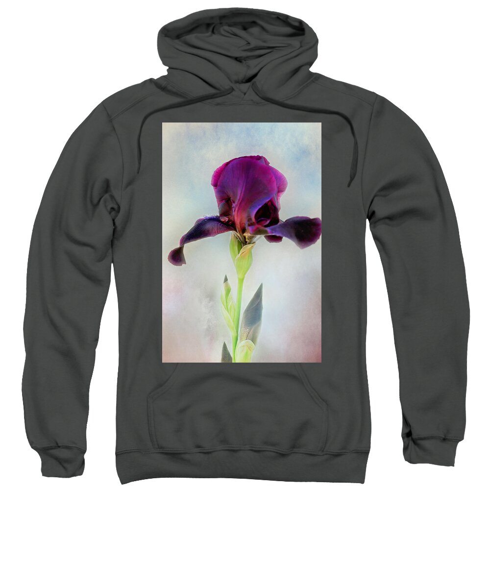 Black Iris Print Sweatshirt featuring the photograph Mystical Black Iris Print by Gwen Gibson