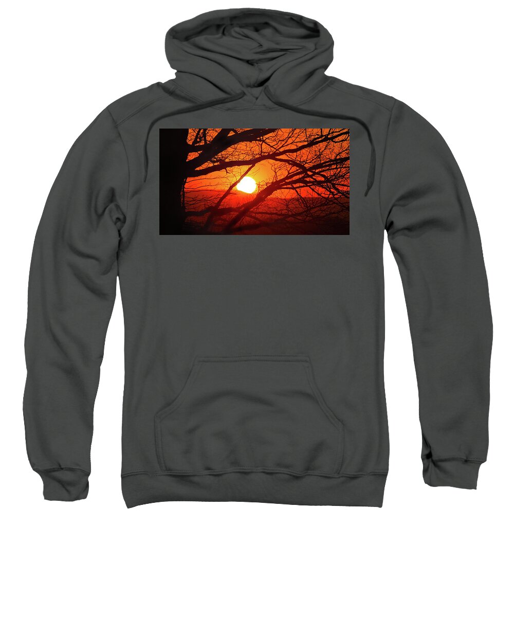 Surreal Sweatshirt featuring the photograph Naked Tree at Sunset, Smith Mountain Lake, Va. by The James Roney Collection