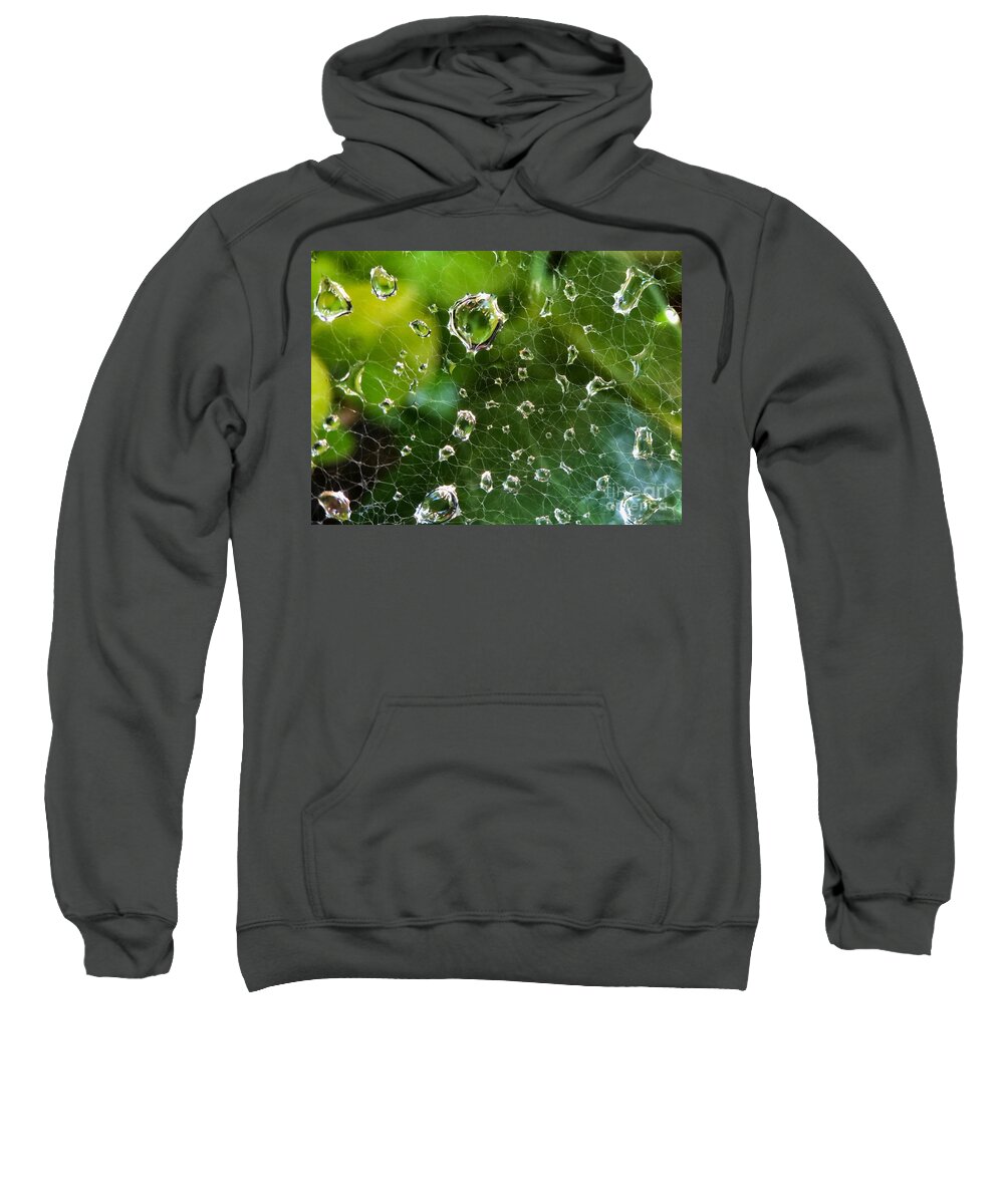 Macro Sweatshirt featuring the photograph Nature Lace 3 by Diana Rajala