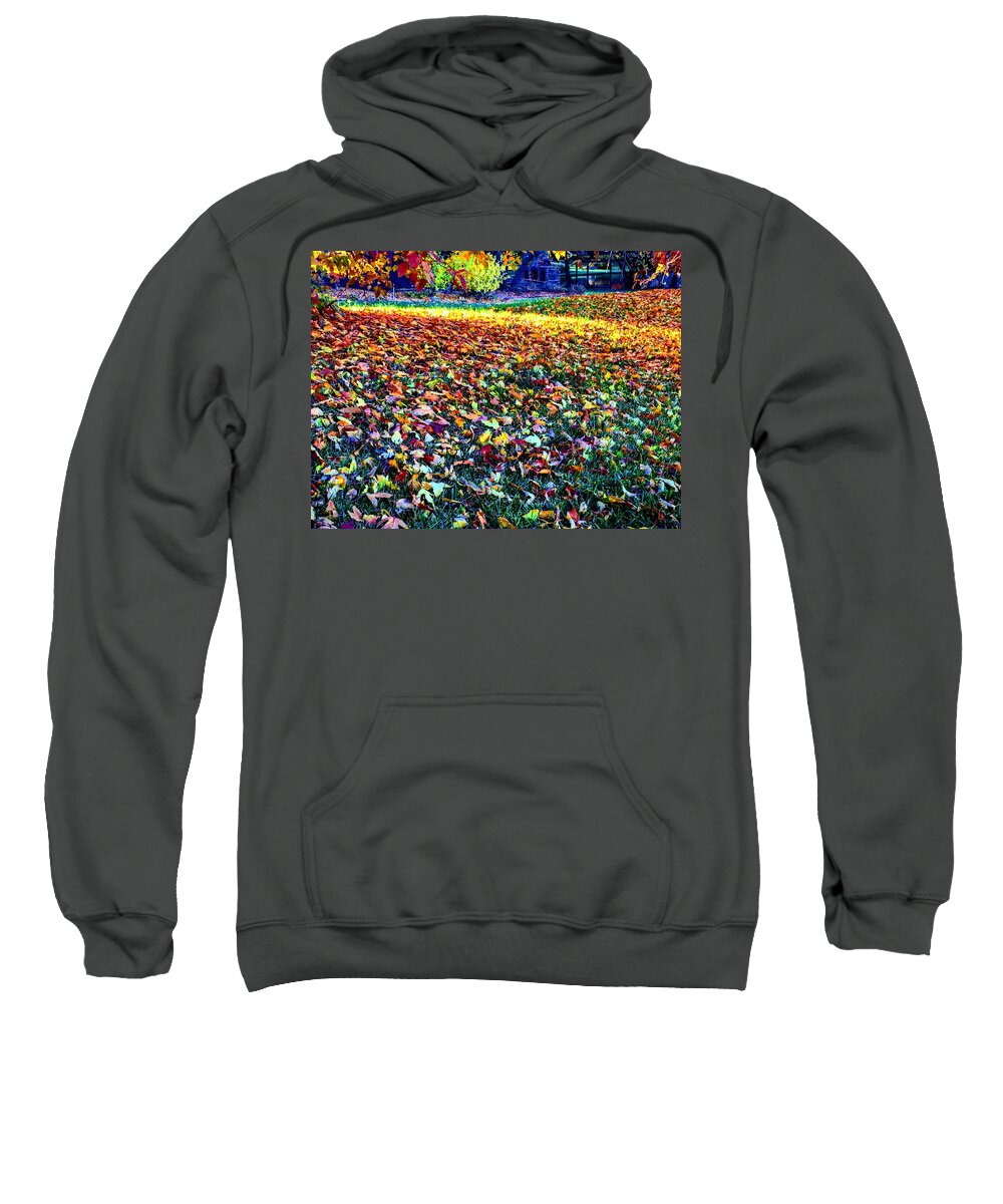 Fall Sweatshirt featuring the photograph Nature Romancing Us by Michael Oceanofwisdom Bidwell