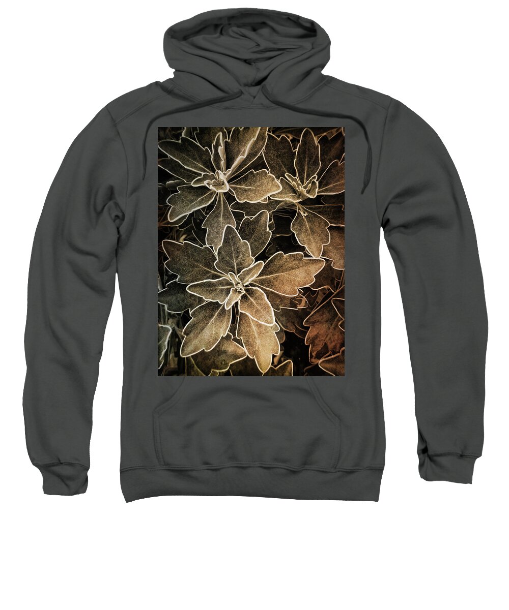 Smart Phone Photo Sweatshirt featuring the photograph Natures Patterns by Jill Love
