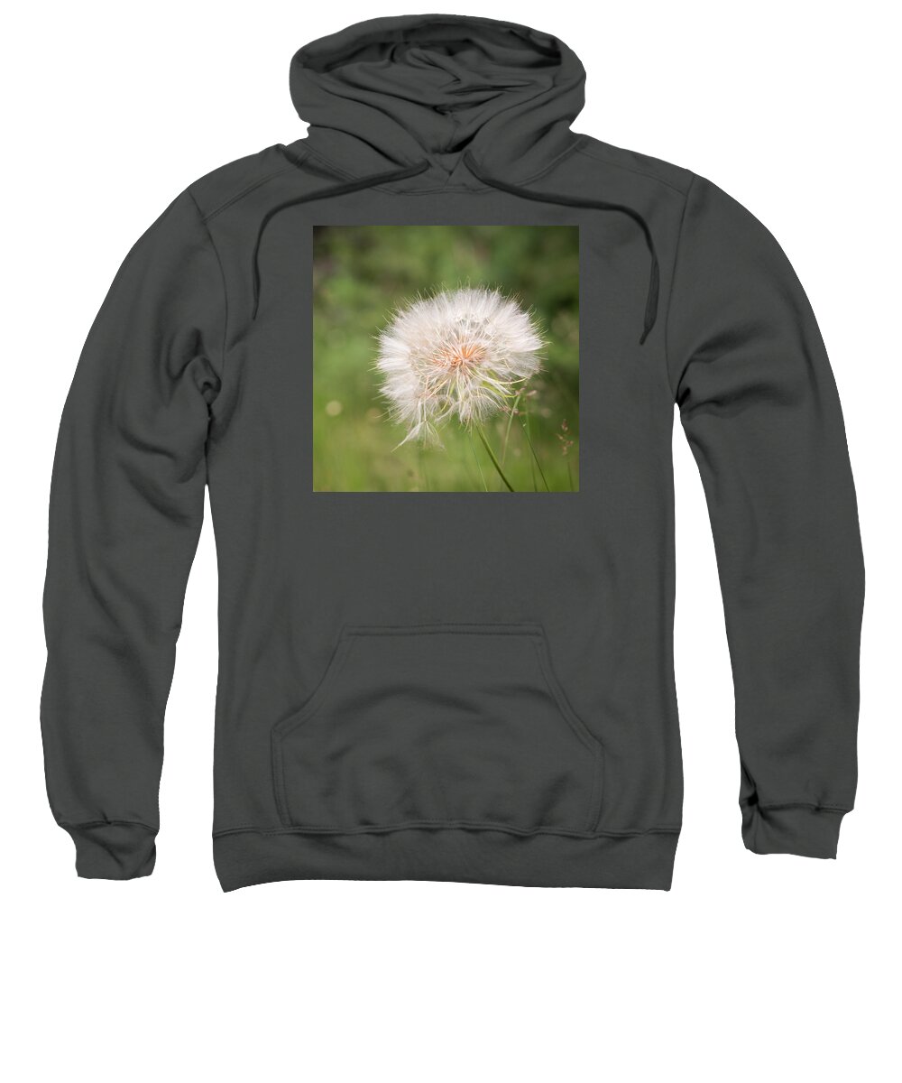 Dandelion Sweatshirt featuring the photograph Nature's Whiskers by Mary Underwood