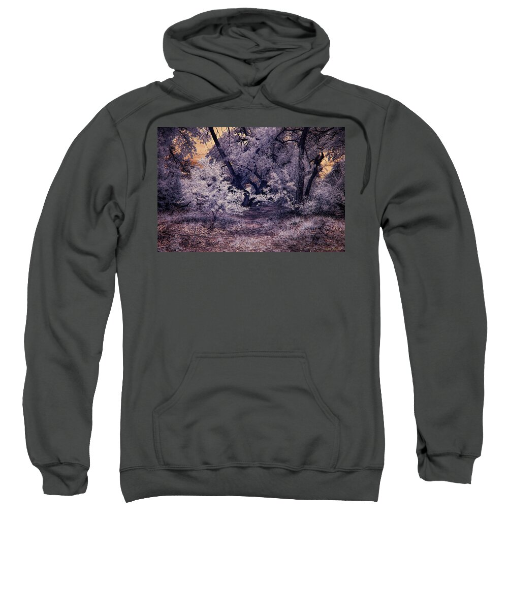 New Mexico Sweatshirt featuring the photograph New Growth in the Bosque by Michael McKenney