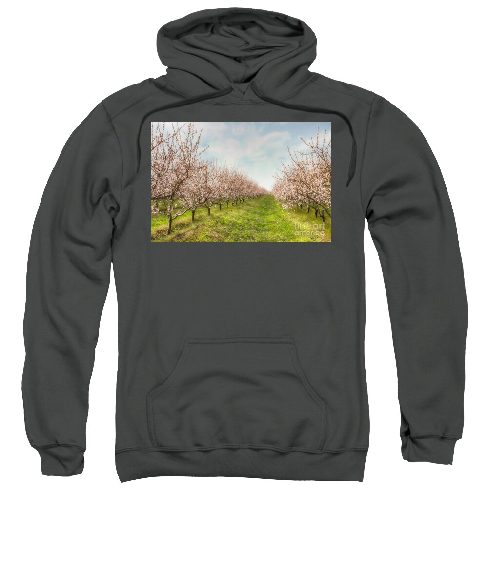 Flowers Sweatshirt featuring the photograph Niagara's Spring by Marilyn Cornwell