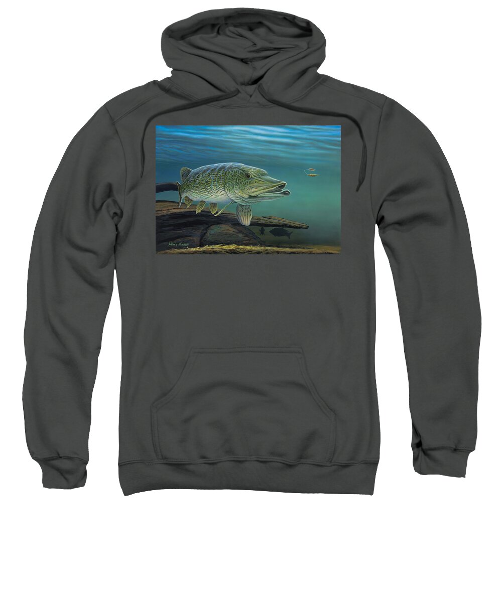 Northern Pike Adult Pull-Over Hoodie by Anthony J Padgett - Fine Art America