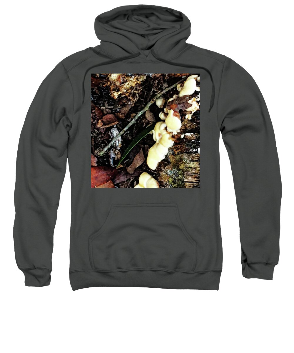 Fungus Sweatshirt featuring the photograph Oak Tree Fungus by Gina O'Brien