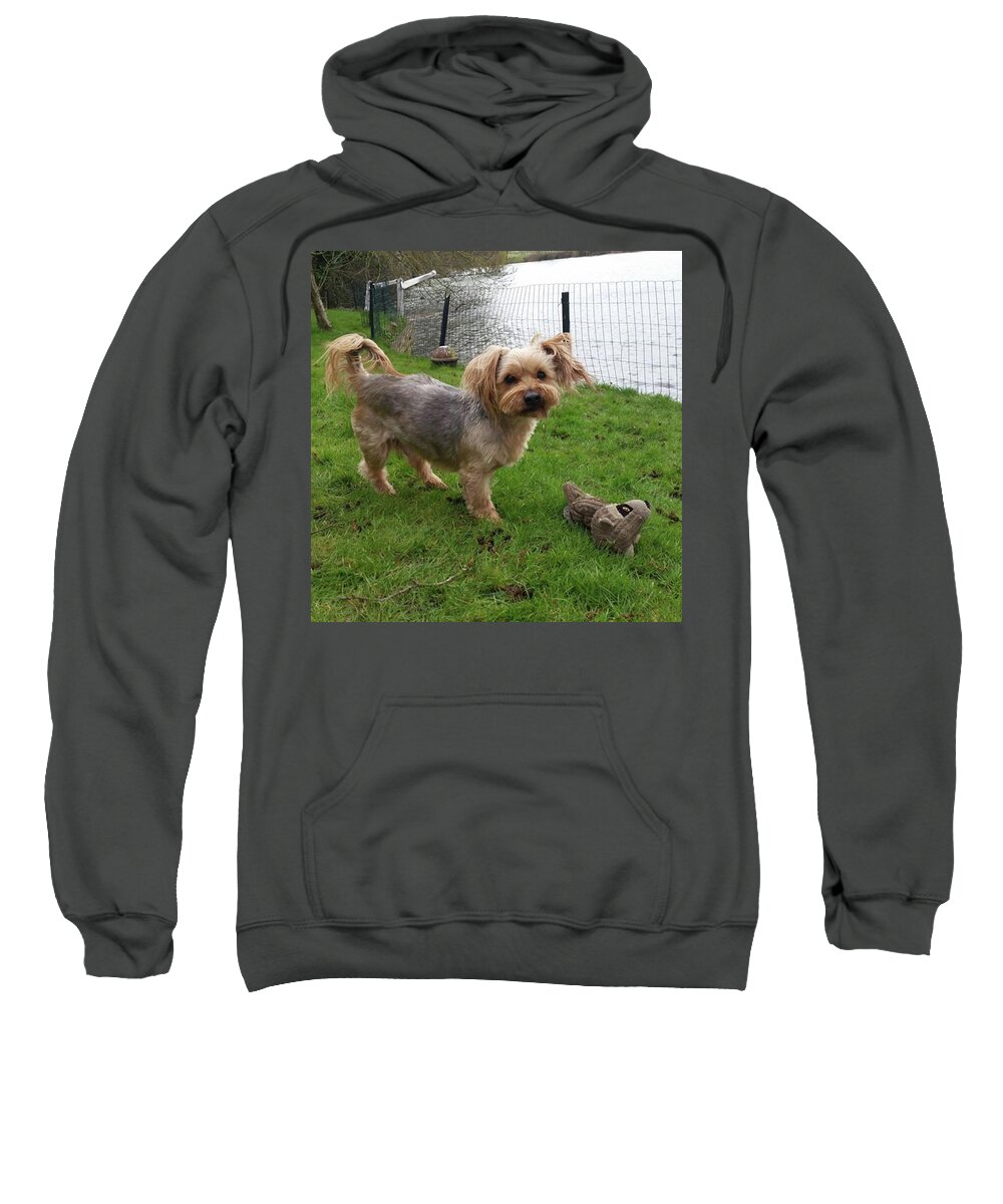 Dog Sweatshirt featuring the photograph Playing Outside by Rowena Tutty