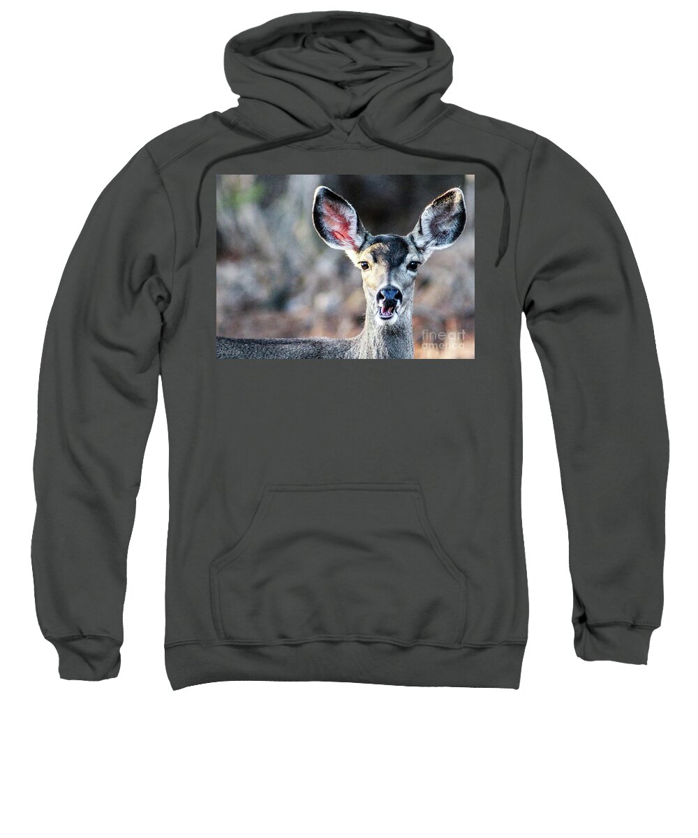 Wildlife Sweatshirt featuring the photograph Oh, Deer by Adam Morsa