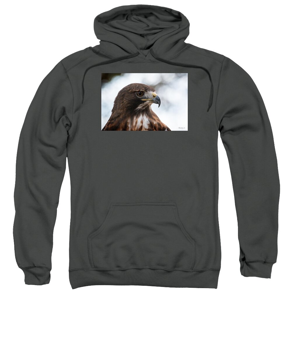 Florida Sweatshirt featuring the photograph Okeeheelee Nature Center - Sir Galahad the Red-Tailed Hawk - Profile by Ronald Reid
