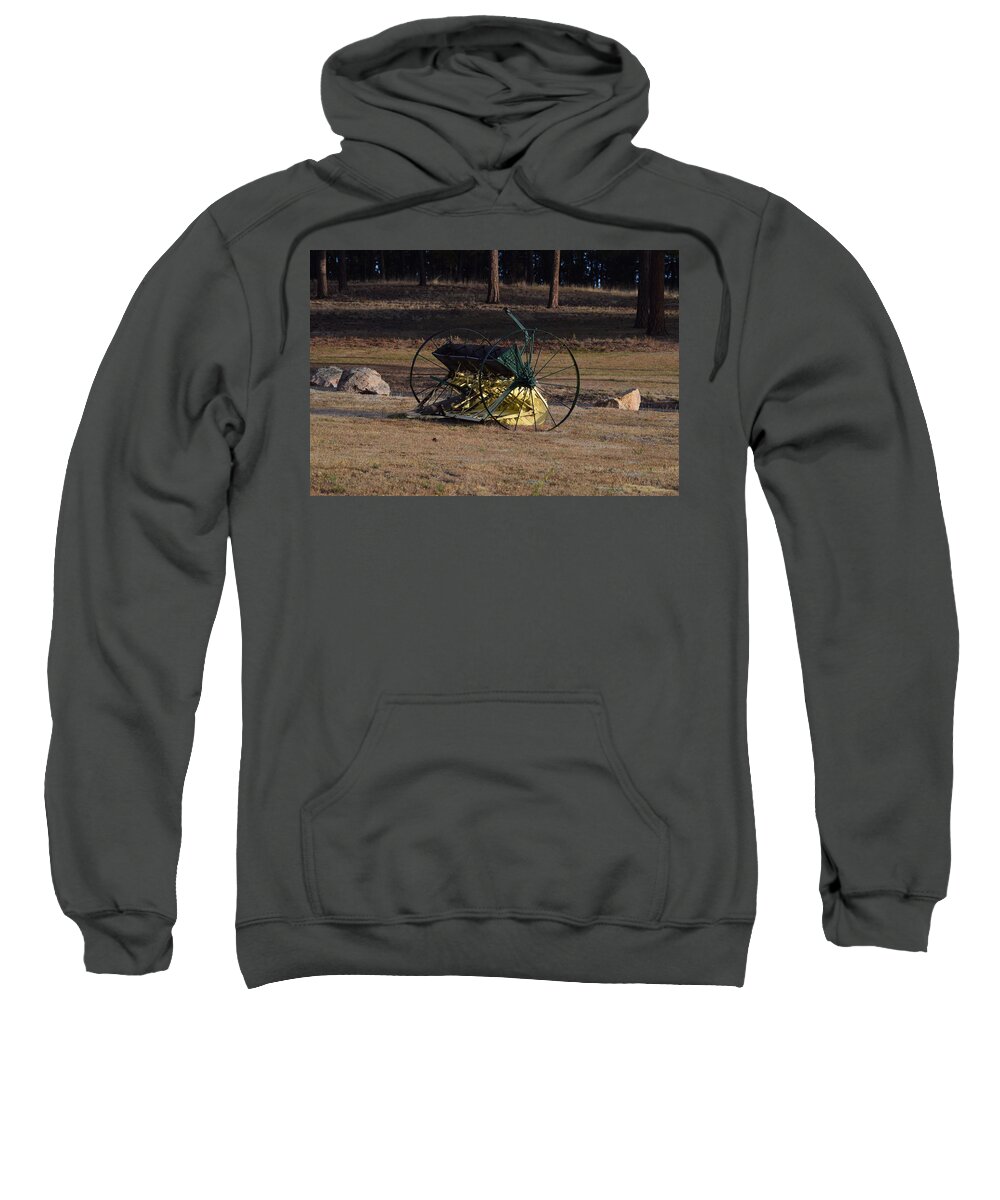 Green Sweatshirt featuring the photograph Old Farm Implement Lake George CO #1 by Margarethe Binkley