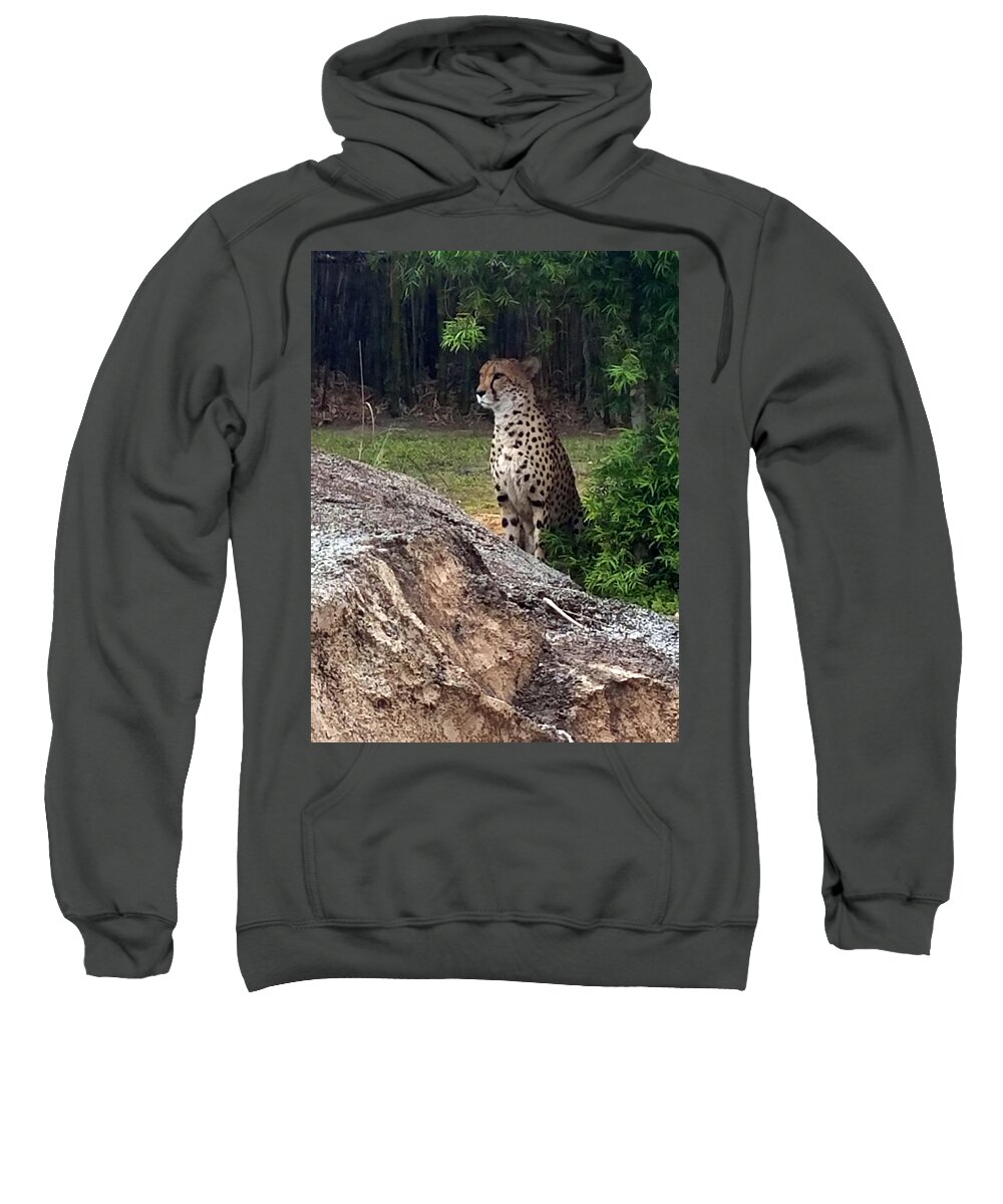 Wildlife Sweatshirt featuring the photograph On Watch by Rick Redman