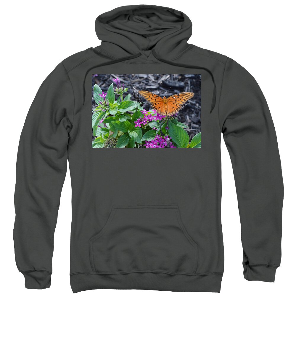 Open Wings Of The Gulf Fritillary Butterfly Sweatshirt featuring the photograph Open Wings of the Gulf Fritillary Butterfly by Warren Thompson