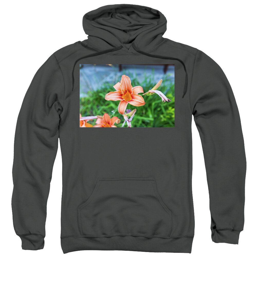 Flower Sweatshirt featuring the photograph Orange Daylily by D K Wall