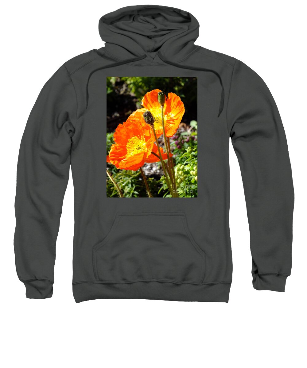 Flowers Sweatshirt featuring the photograph Our beginning by Yenni Harrison