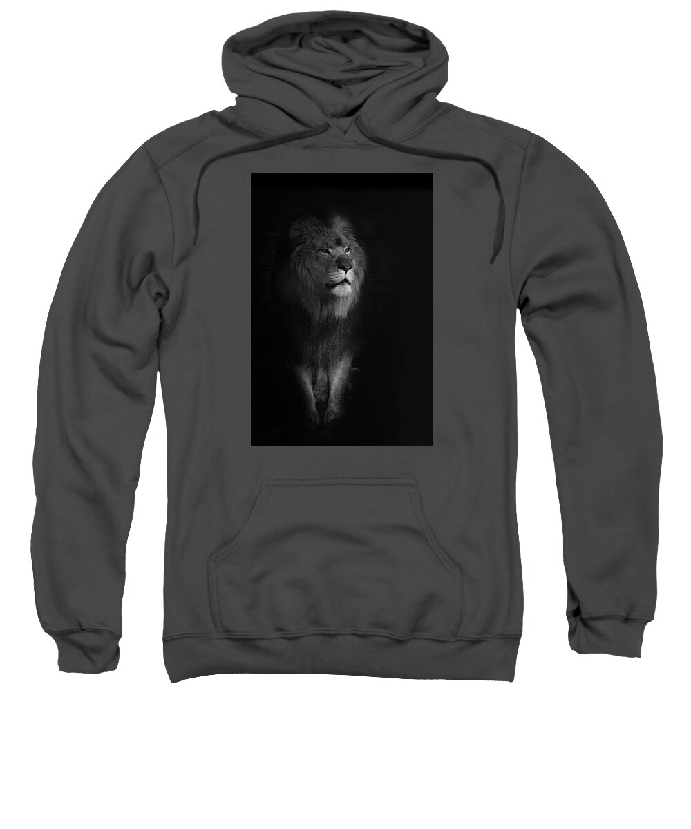 Lion Sweatshirt featuring the photograph Out of Darkness by Ken Barrett