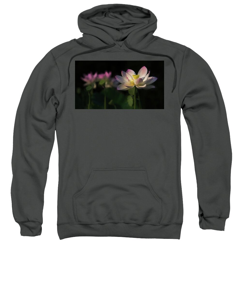 Photograph Sweatshirt featuring the photograph Out of the Mud by Cindy Lark Hartman