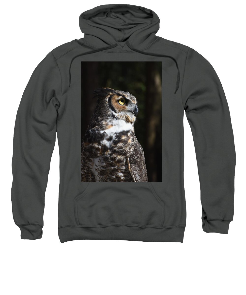 Great Horned Owl Sweatshirt featuring the photograph Owl 411 by Joyce StJames