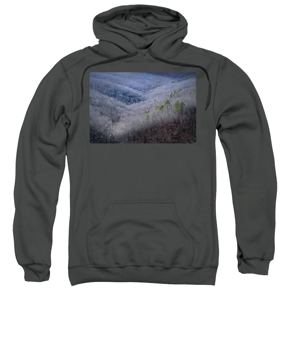 Autumn Sweatshirt featuring the photograph Ozarks Trees #4 by David Chasey