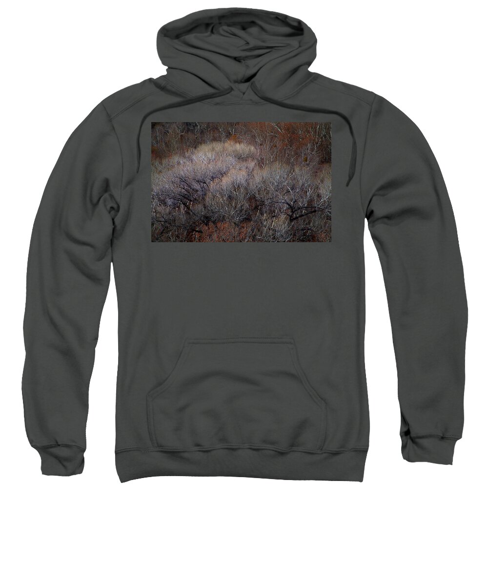 Autumn Sweatshirt featuring the photograph Ozarks Trees #5 by David Chasey