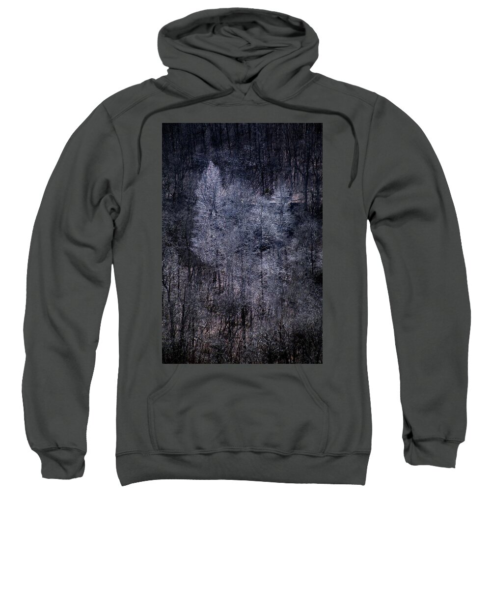 Autumn Sweatshirt featuring the photograph Ozarks Trees #6 by David Chasey