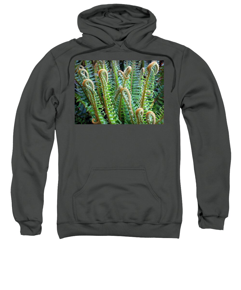 Ferns Sweatshirt featuring the photograph Pacific Ferns by Martin Konopacki