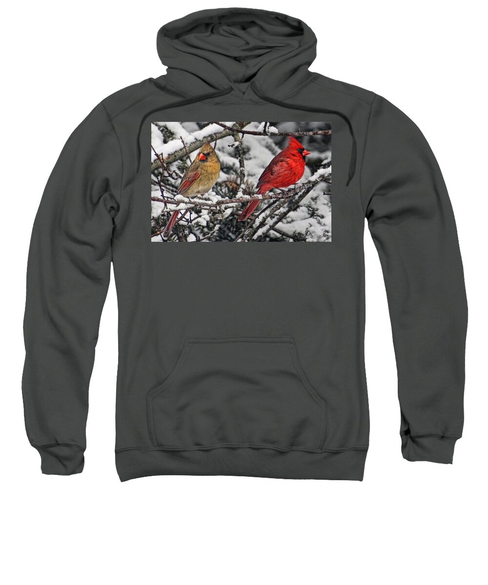 Cardinals Sweatshirt featuring the photograph Pair of Cardinals in Winter by Peg Runyan