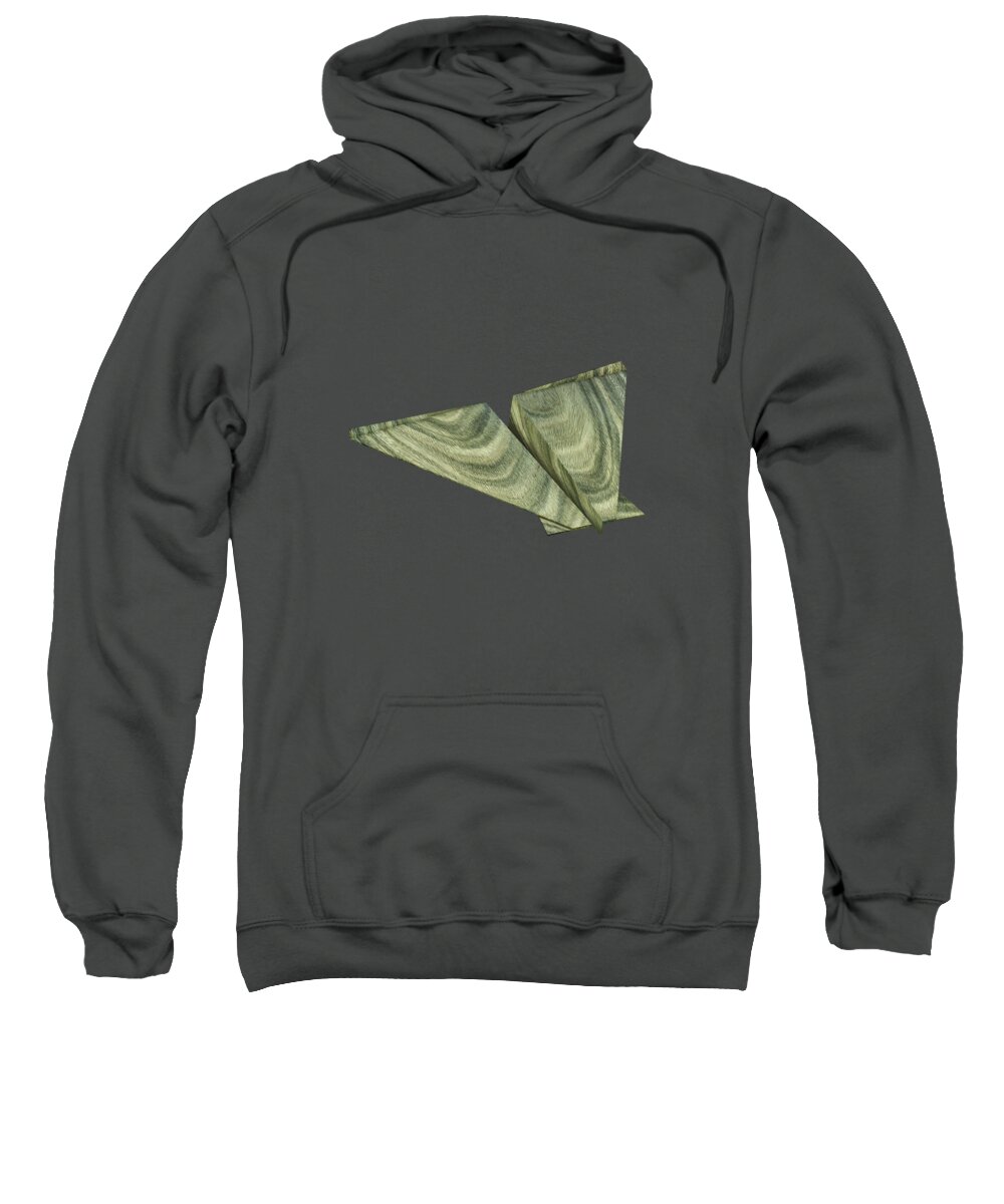 Aircraft Sweatshirt featuring the photograph Paper Airplanes of Wood 19 by YoPedro