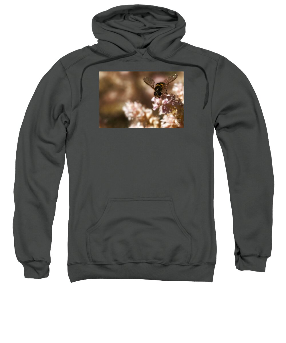 Flower Sweatshirt featuring the photograph Pastels Delight by Linda Shafer