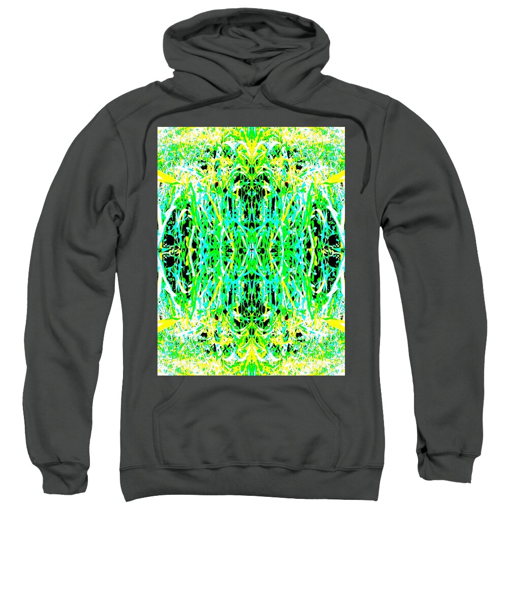 Decor Sweatshirt featuring the digital art Patch Work Graphic #68 by Scott S Baker