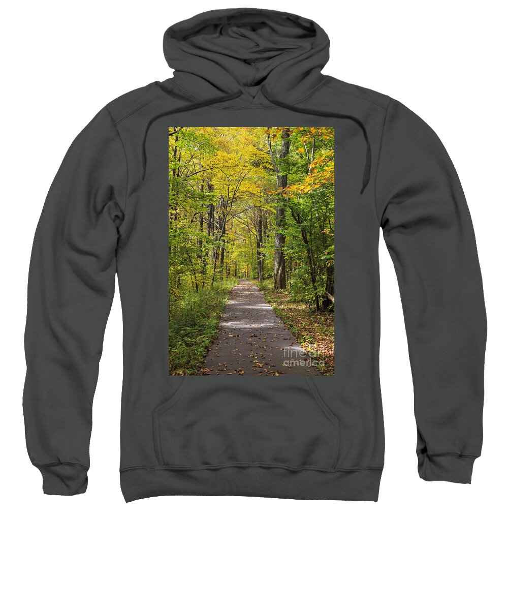North Sweatshirt featuring the photograph Path in the Woods During Fall Leaf Season by Jill Lang